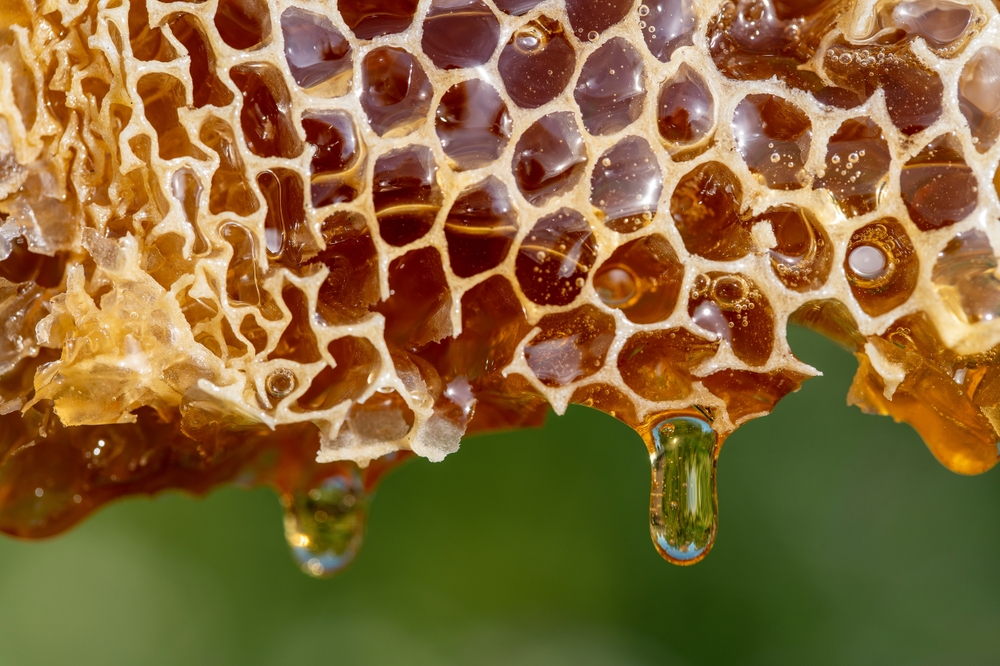 Honey,Dripping,From,Honey,Comb,On,Nature,Background,,Close,Up.